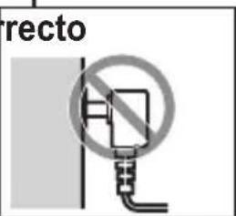 recto
