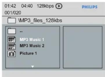 PHILIPS DVP3166X - General Operation - 1