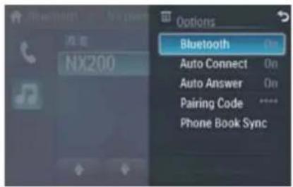 Options Bluetooth On Auto Connect On Auto Answer On Pairing Code ***** Phone Book Sync