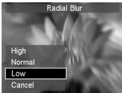 Radial Blur High Normal Low Cancel