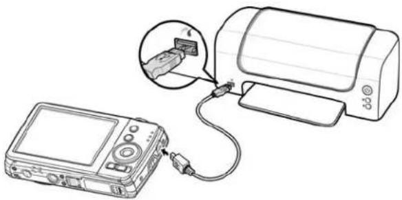 PHILIPS DSC112BL - Connecting the Camera to a Printer - 1