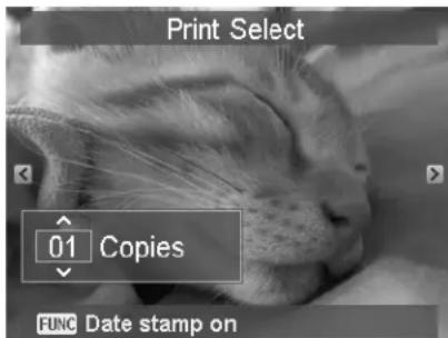 Print Select 01 Copies FUNC Date stamp on