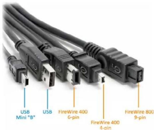 USB Mini "B" USB FireWire 400 6-pin FireWire 400 4-pin FireWire 800 9-pin