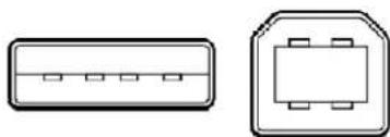 Rocstor Airhawk A5 - FireWire 400 (IEEE 1394a) - 6