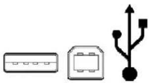 Rocstor Airhawk A5 - USB supports three data transfer rates: - 1