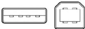 Rocstor EagleRoc E9 - FireWire 400 (IEEE 1394a) - 5