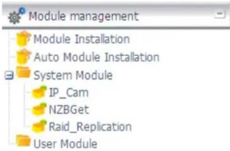 Module management Module Installation Auto Module Installation System Module IP_Cam NZBGet Raid_Replication User Module
