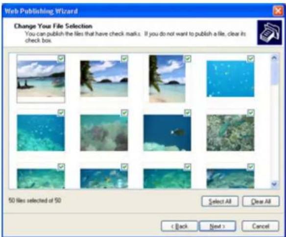 Web Publishing Wizard Change Your File Selection You can publish the files that have check marks. If you do not want to publish a file, clear its check box. 50 files selected of 50 Select All Clear All < Back Next > Cancel