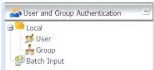 User and Group Authentication Local User Group Batch Input