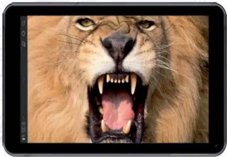NEVIR NVR-TAB9Q S5 - NVR-TAB9Q S5 (8GB) - 1