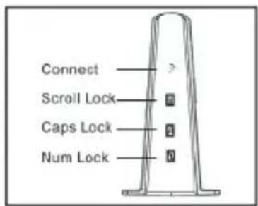 Soyntec 77364 - Receiver indicators: - 1