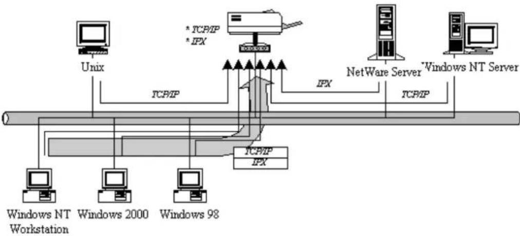 Intellinet 501507 - Network Printing Architecture - 2