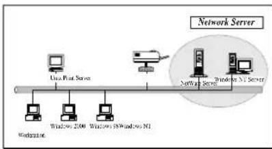 Intellinet 501507 - Network Printing Functions for Network Server - 1
