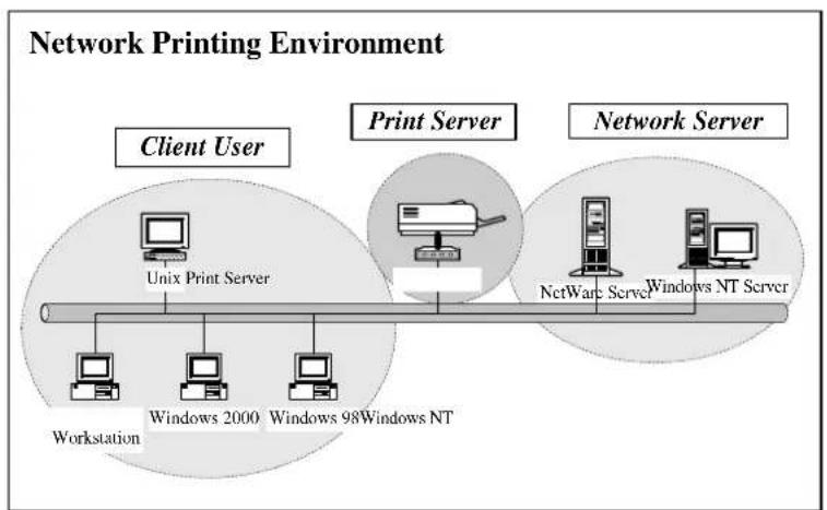 Intellinet 501507 - Network Printing Architecture - 1