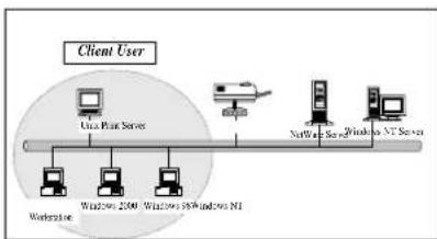 Intellinet 501507 - Network Printing Functions for Clients - 1