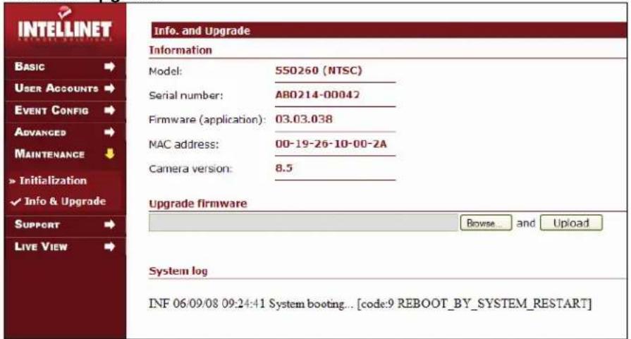 Intellinet 550260 - Import - 1