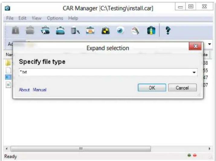 CAR Manager [C:\Testing\install.car] File Edit View Options Help Expand selection Specify file type *.txt About Manual OK Cancel Ready