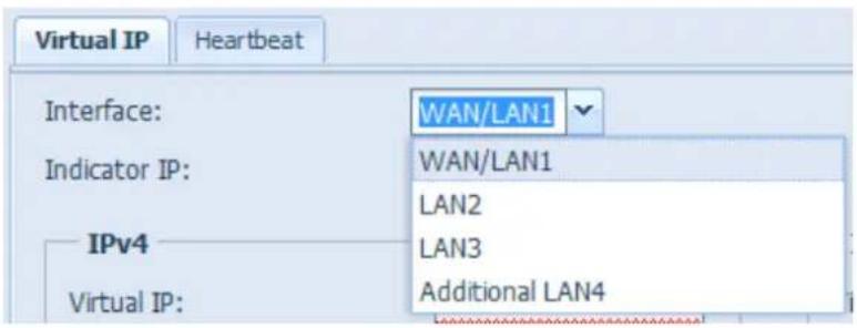Virtual IP Interface: Indicator IP: IPv4 Virtual IP: WAN/LAN1 WAN/LAN1 LAN2 LAN3 Additional LAN4