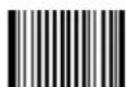 Newland FM208 - QR Code - 6
