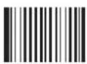 Newland FM208 - QR Twin Code - 1