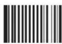 Newland FM208 - Digit Code - 3