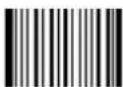 Newland FM208 - Decode ASCII - 1