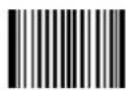 Newland FM208 - QR Code - 1