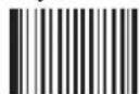 Newland FM208 - Chinese-Sensible Code - 1