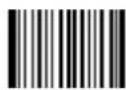 Newland FM208 - Data Matrix - 1