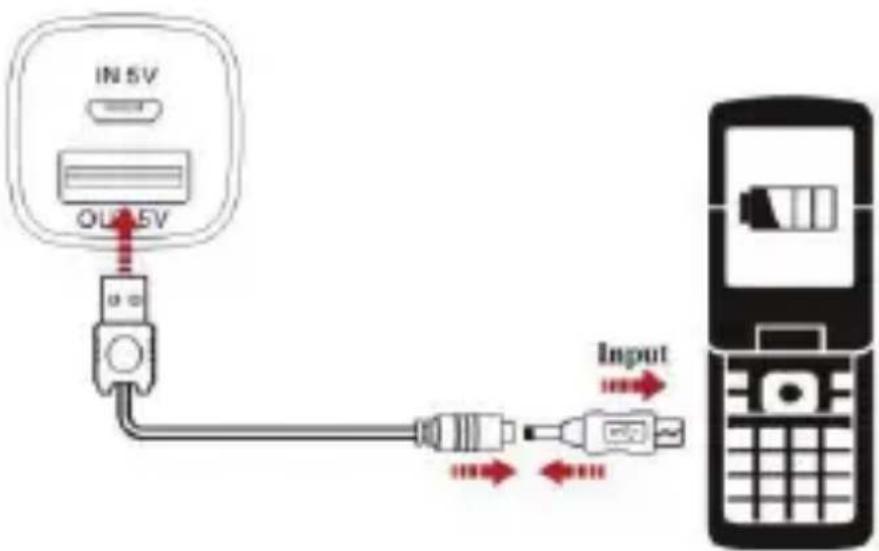 Digitus PowerRocket 2200 - MAINTENANCE - 1