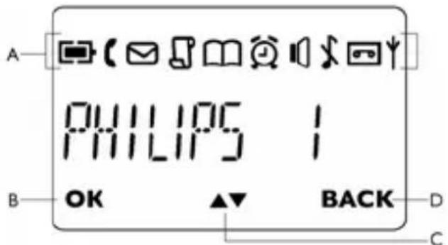 A PHILLIPS 1 B OK BACK D C
