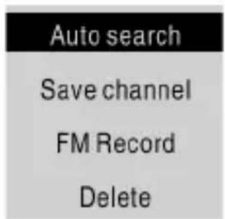 Auto search Save channel FM Record Delete