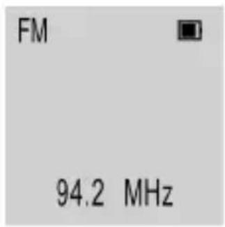 FM 94.2 MHz