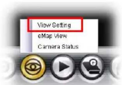 View Setting eMap View Camera Status