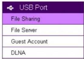 USB Port File Sharing File Server Guest Account DLNA