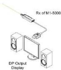 Rx of M1-5000 DP Output Display