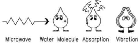 Microwave Water Molecule Absorption Vibration