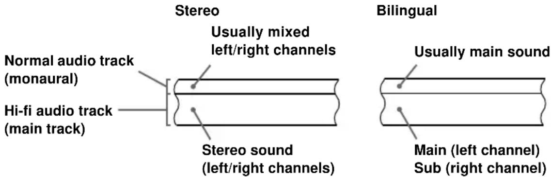 Stereo Usually mixed left/right channels Normal audio track (monaural) Hi-fi audio track (main track) Stereo sound (left/right channels) Bilingual Usually main sound Main (left channel) Sub (right channel)