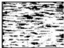 SONY SLV-SW600B - Symptoms caused by contaminated video heads - 4