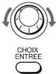 CHOIX ENTREE