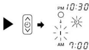 PM 10:30 AM 7:00
