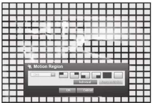 Motion Region OK Individual Apply to All Our OK Cancel