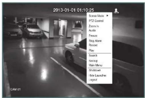 2013-01-01 01:10:25 Scene Mode ▶ PTZ Control Zoom in Audio Freeze Stop Alarm Recovery Play Search Backup Main Menu Shutdown Hide Launcher Logout