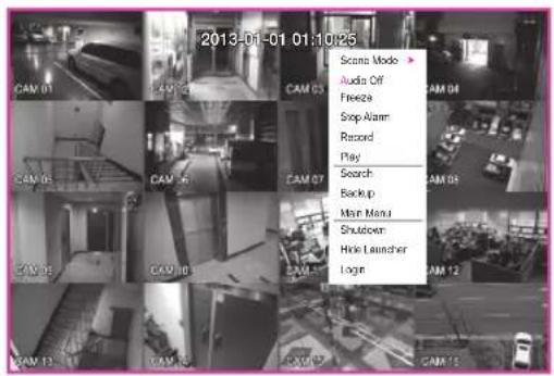 2013-01-01 01:10:25 Scans Mode > Audio Off Freeze Stop Alarm Record Play Search Backup Main Menu Shutdown Hide Launcher Login