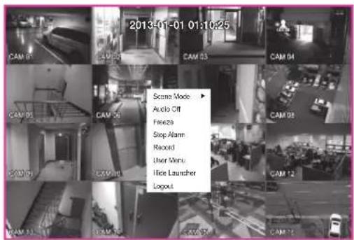 2013-01-01 01:10:25 Camera Mode ▶ Audio Off Freeze Stop Alarm Record User Menu Hide Launcher Logout