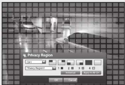 Privacy Region CH1 Privacy Region1 1 2 3 4 Initial OK Apply All CH OK Cancel