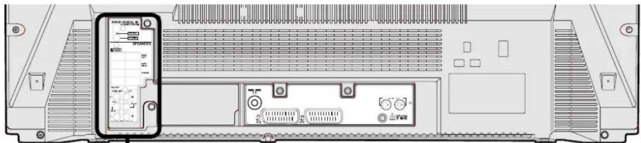 Diagram of an internal device rear panel with labeled ports and a zoomed-in view showing internal components like 'SPARANT' and 'Tee'.