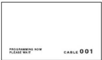PROGRAMMING NOW PLEASE WAIT CABLE 001