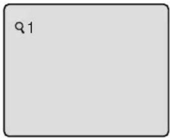Q1
