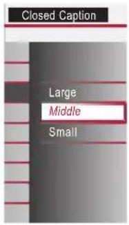 MAGNAVOX 19ME360B - Background Color - 2